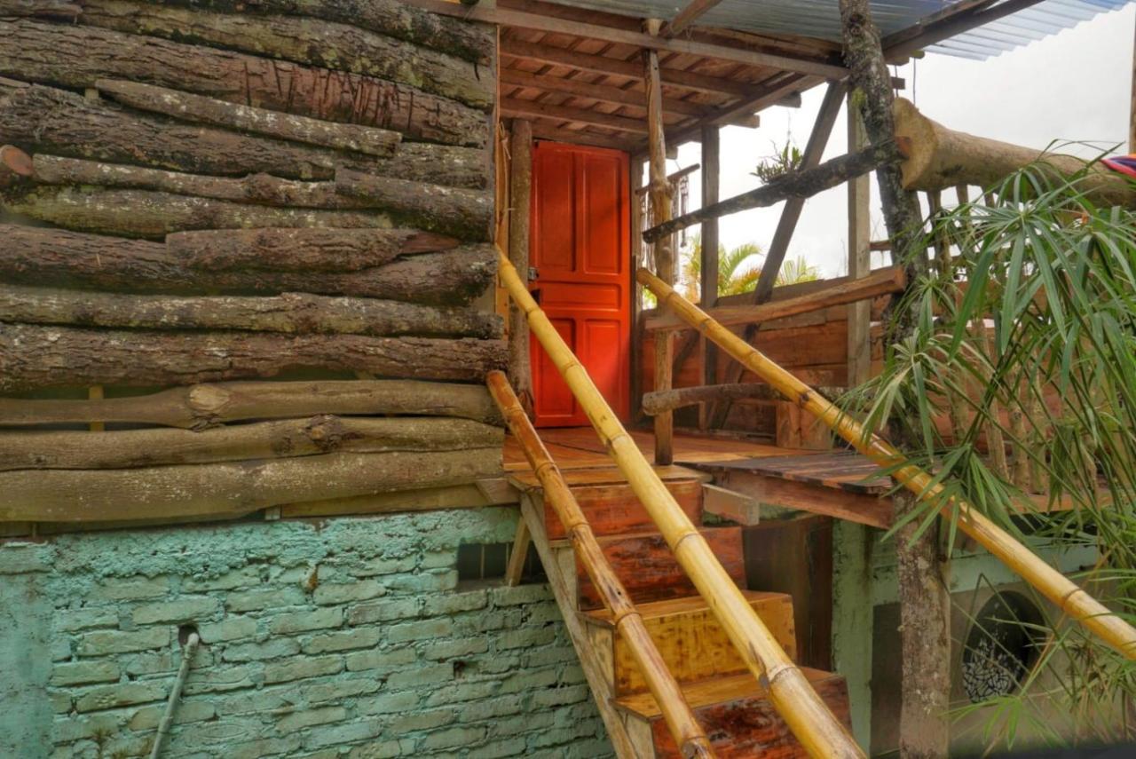 Habitacion Colibri, Pijao, Finca Flora Del Rio ภายนอก รูปภาพ